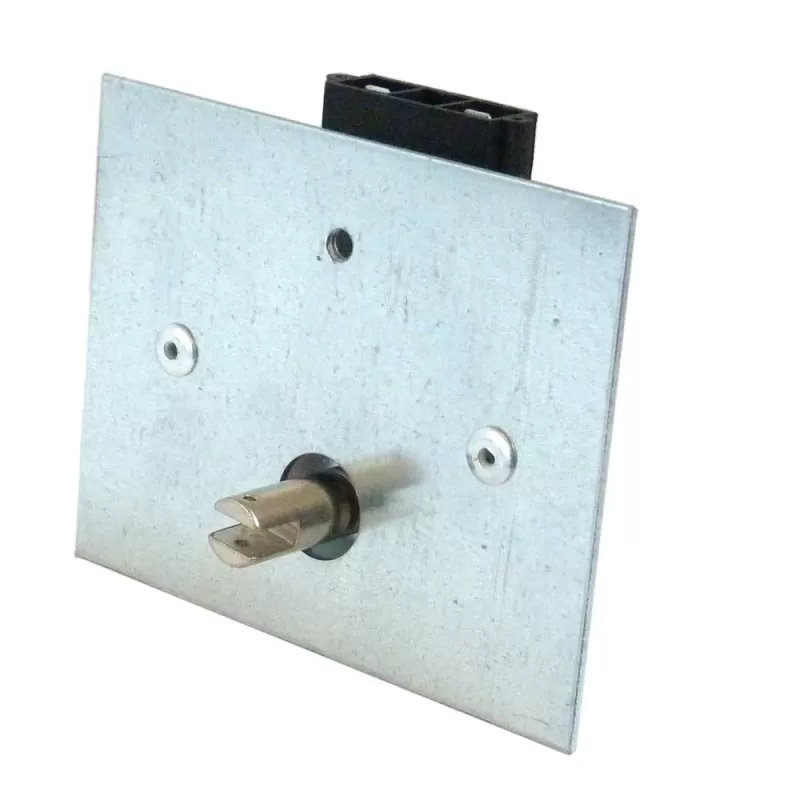 Motor para Asador con Placa Unión por articulación